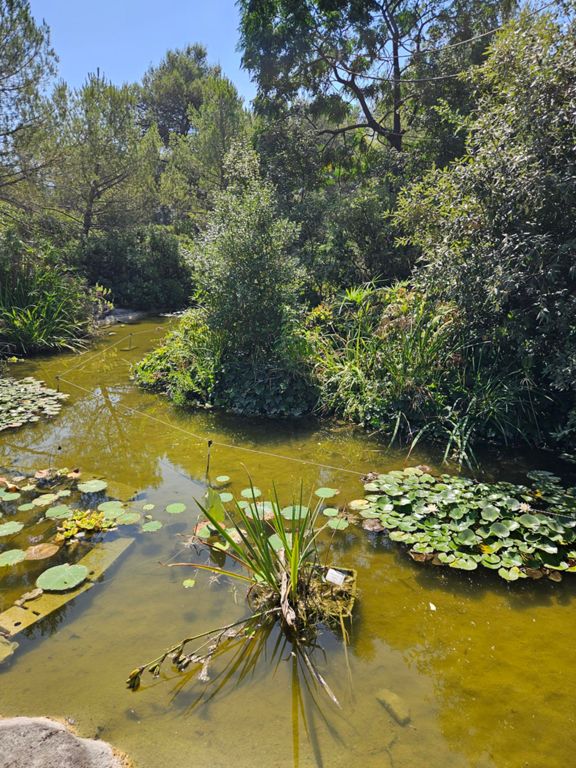 Balade au Zoo de Lunaret