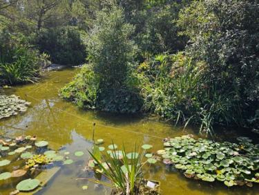 Balade au Zoo de Lunaret