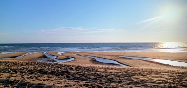 Sortie VTT dans l'après-midi + baignade à l'océan