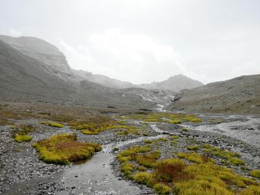 Ouille Noire, vallon de la Reculaz et arête N