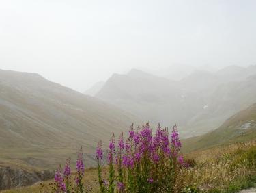 Ouille Noire, vallon de la Reculaz et arête N