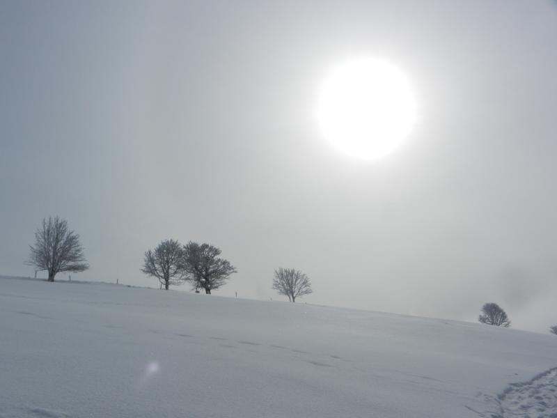 Pâle soleil d'hiver