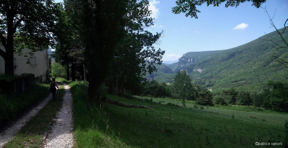Pano 1.