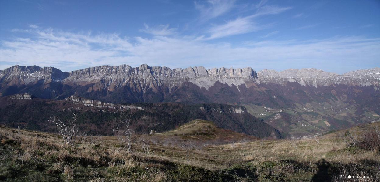 Pano 6.