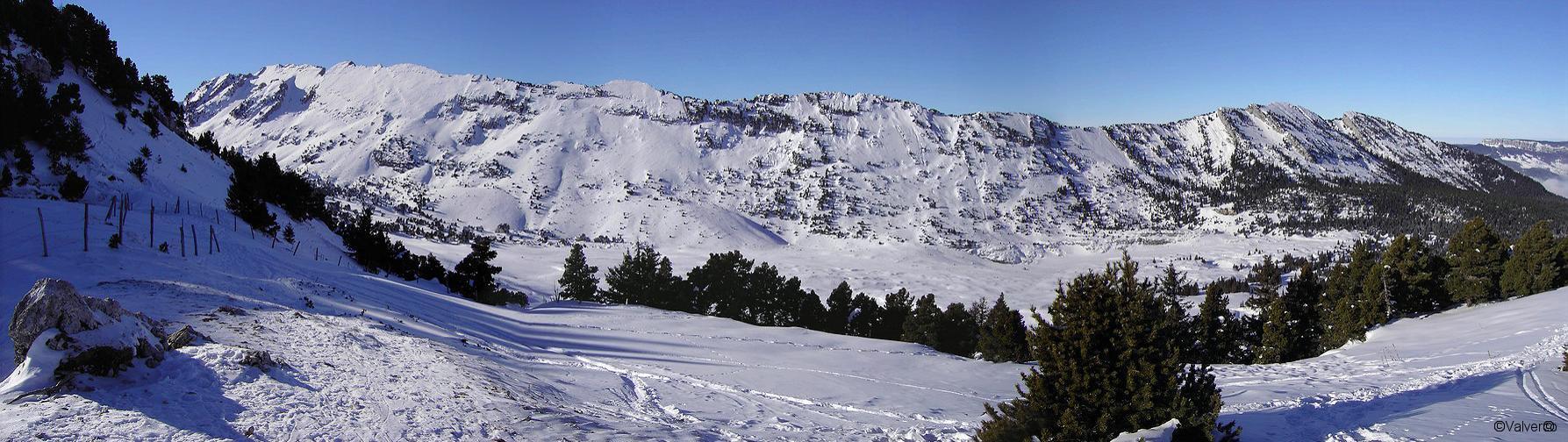 Panorama