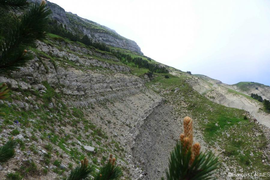 Partie haute des ravines