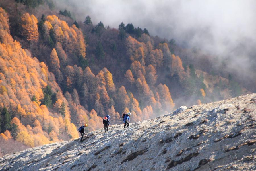 Partie supérieure de l'arête