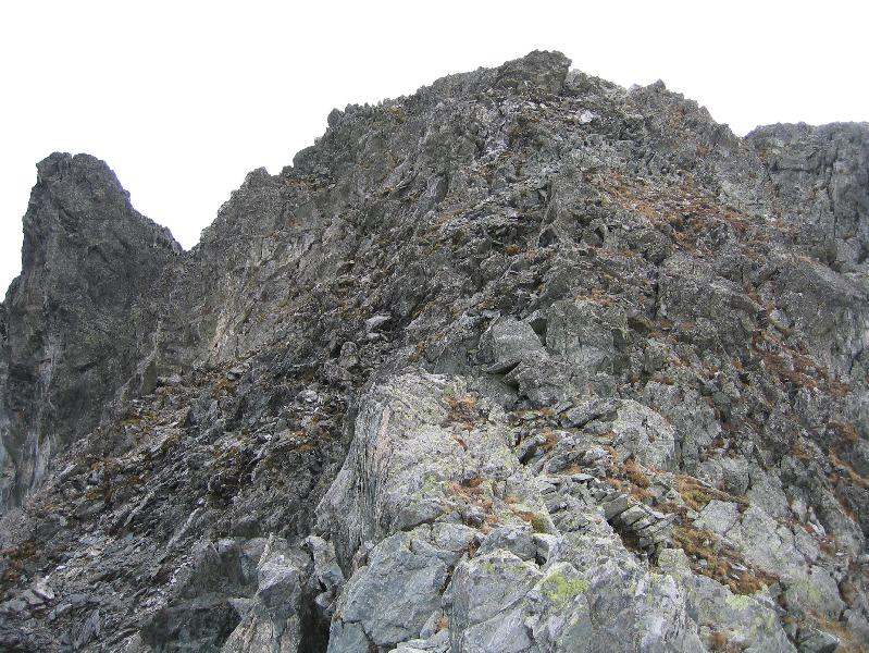 Partie supérieure de l'arête