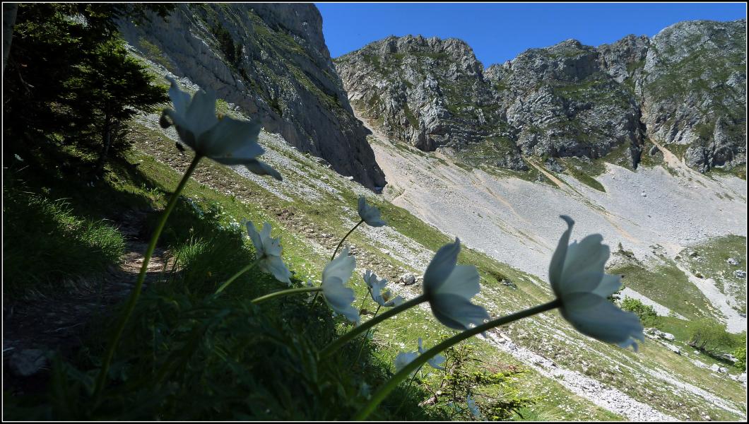 Pas de Berrièves