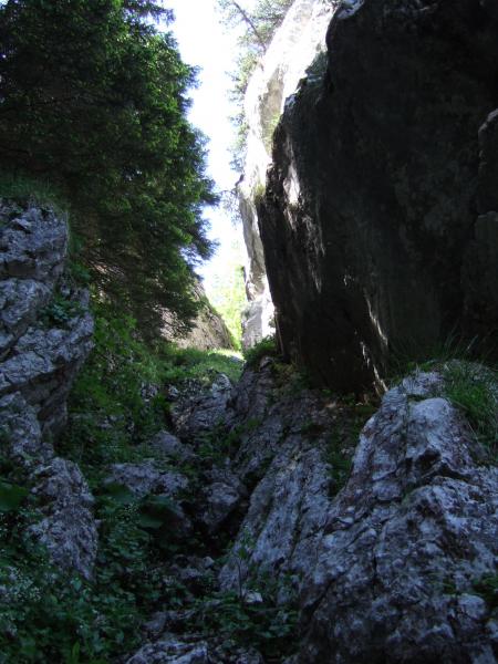 Pas de la Bergere