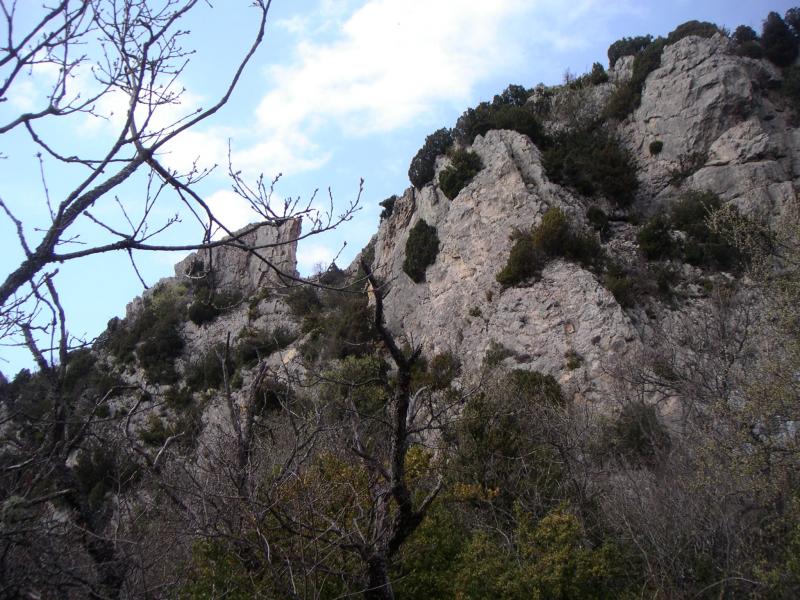 Pas du faucon