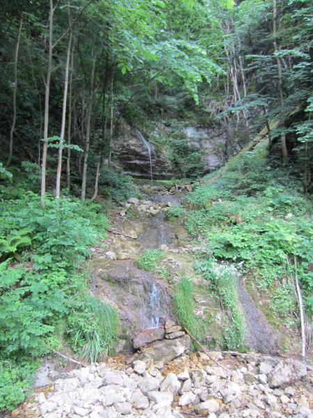 Pas grand chose à voir