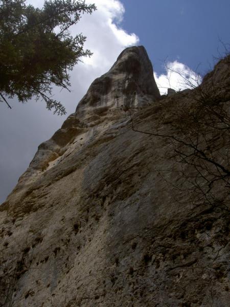 Paysage au pied des falaises 1