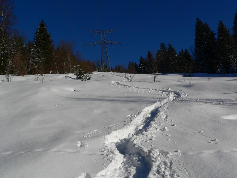 Paysage de montagne (suite)