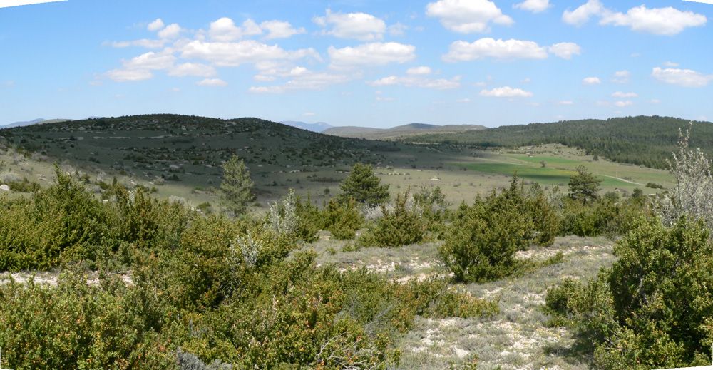 Paysage du causse de Blandas