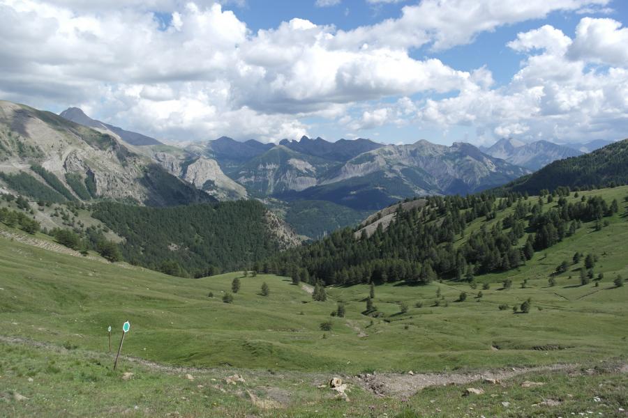 Paysage haut Verdon