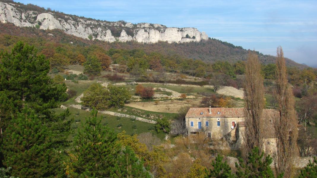 Paysage local