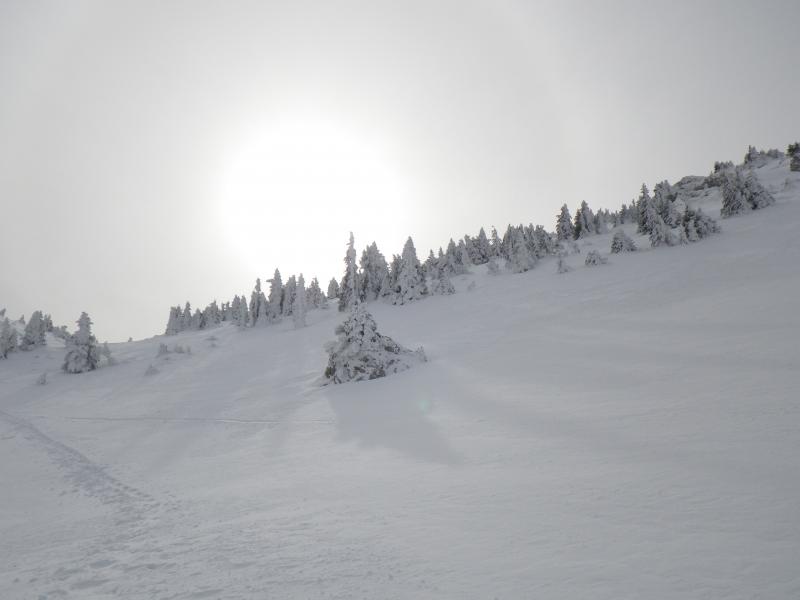 Paysage polaire