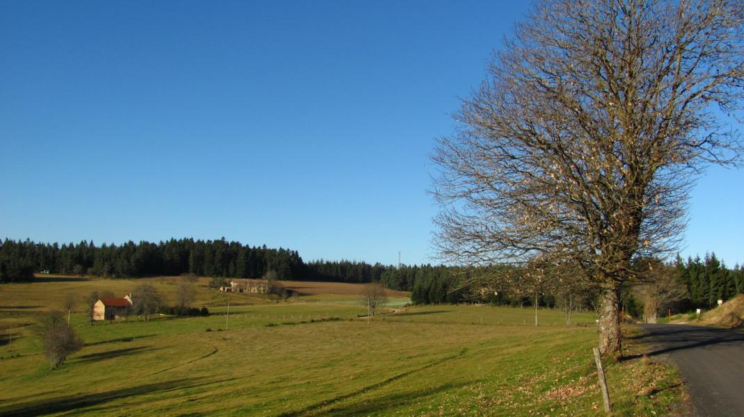 Paysage typique