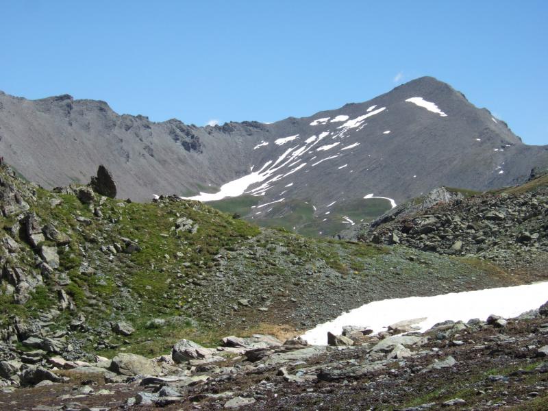 Petit Roche Brune