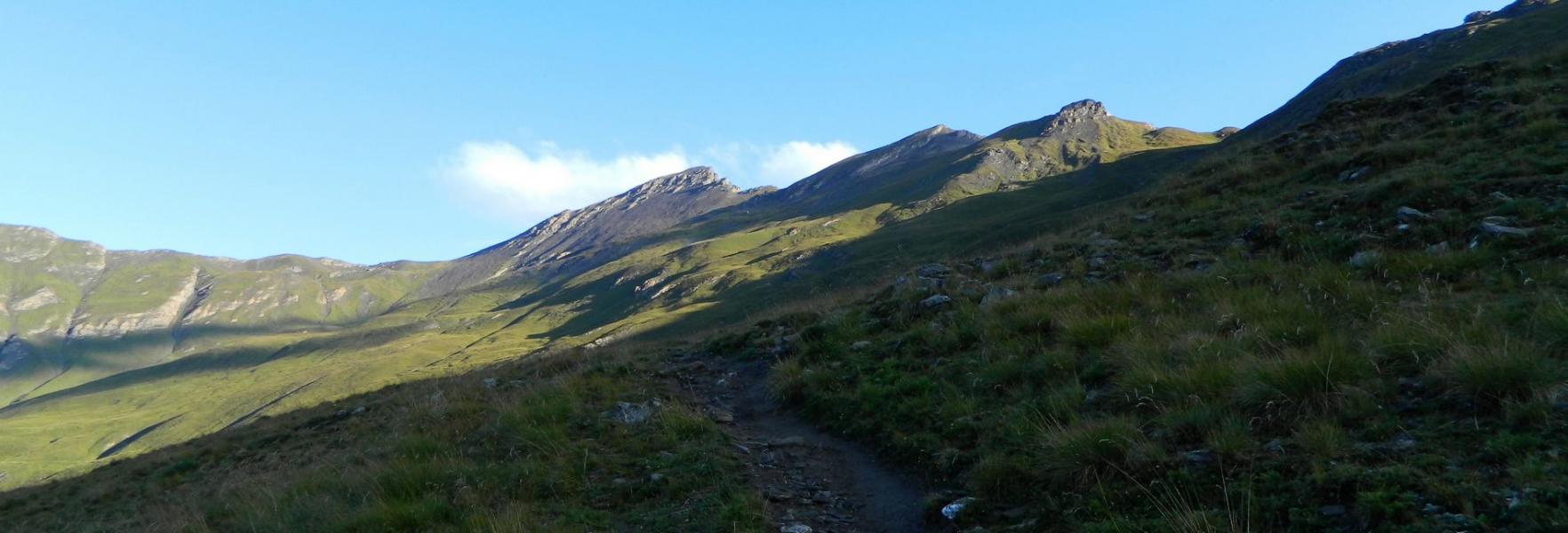 Petit Rochebrune