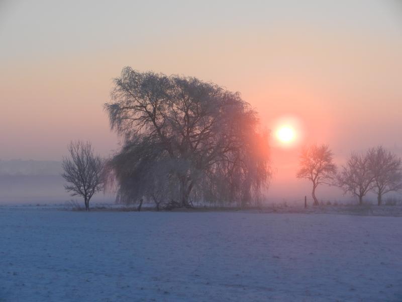 Petit matin givré