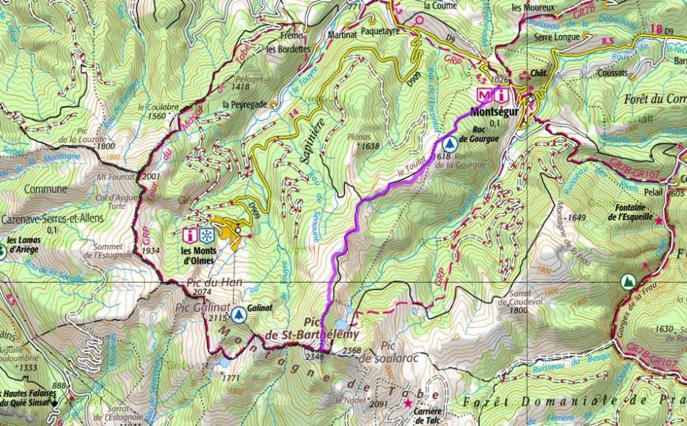 Pic St-Barthélémy versant nord