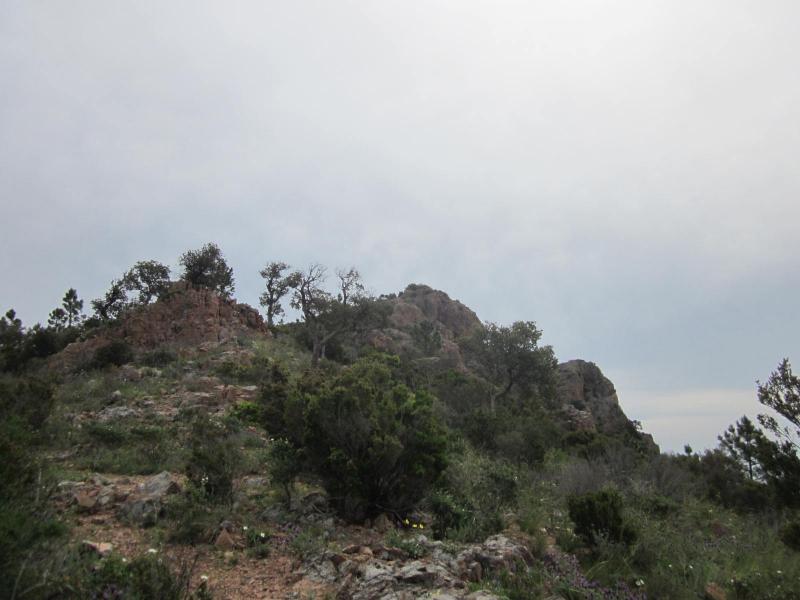 Pic d'Aurèle
