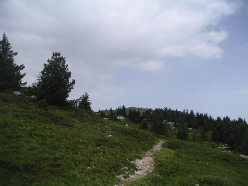 Pinet