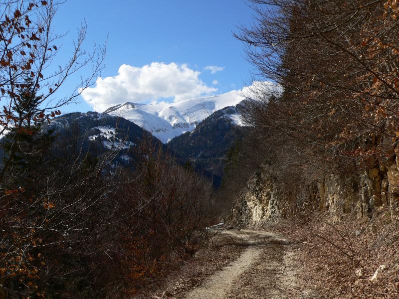 Piste de retour