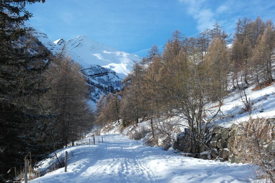 Piste en sous bois.