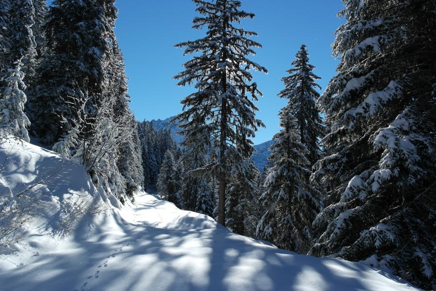 Piste face sud. De la peuf aussi.