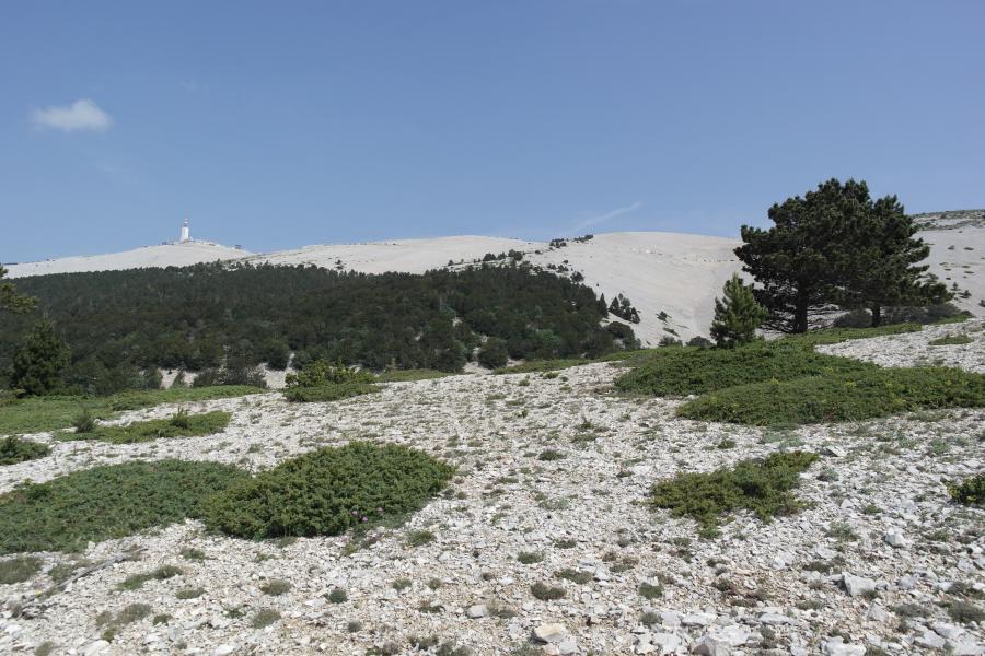 Piste face sud