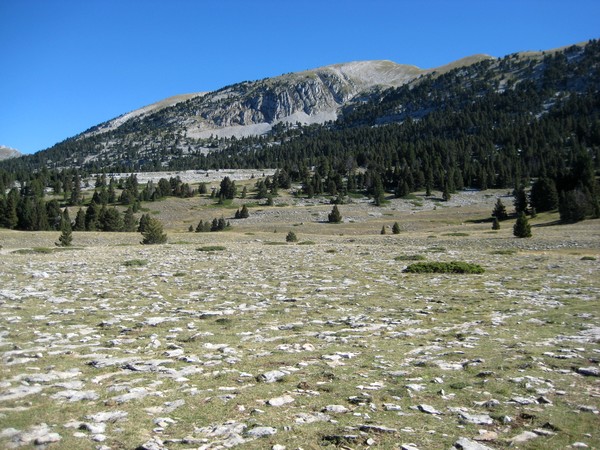Plaine de la Chau