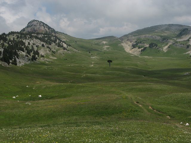Plaine de la Queyrie