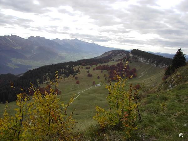 Plateau de la Molière