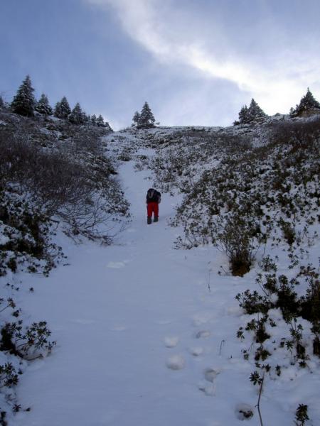 Plateau du Cornafion