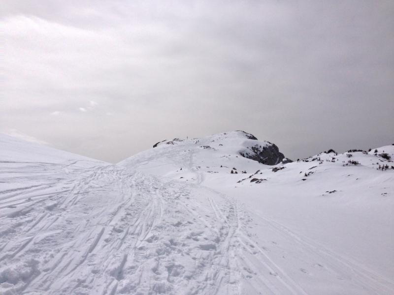 Plateau sommital