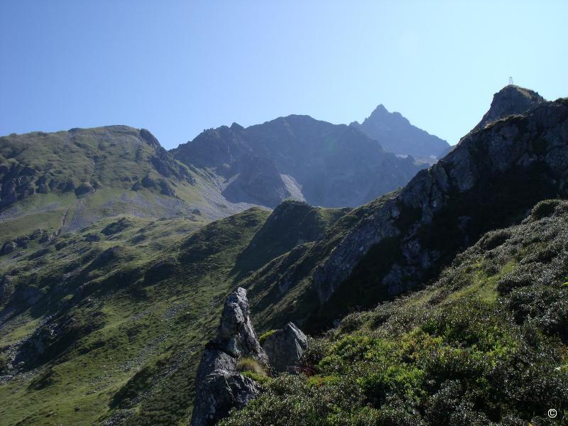 Pluviomètre.