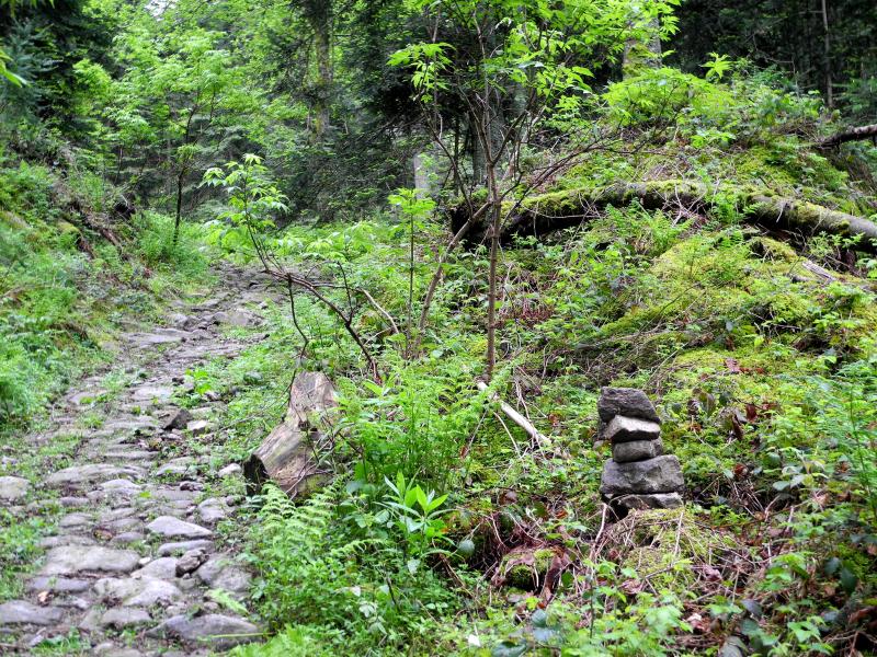 Point 1000 sur le chemin du Bois du Boeuf