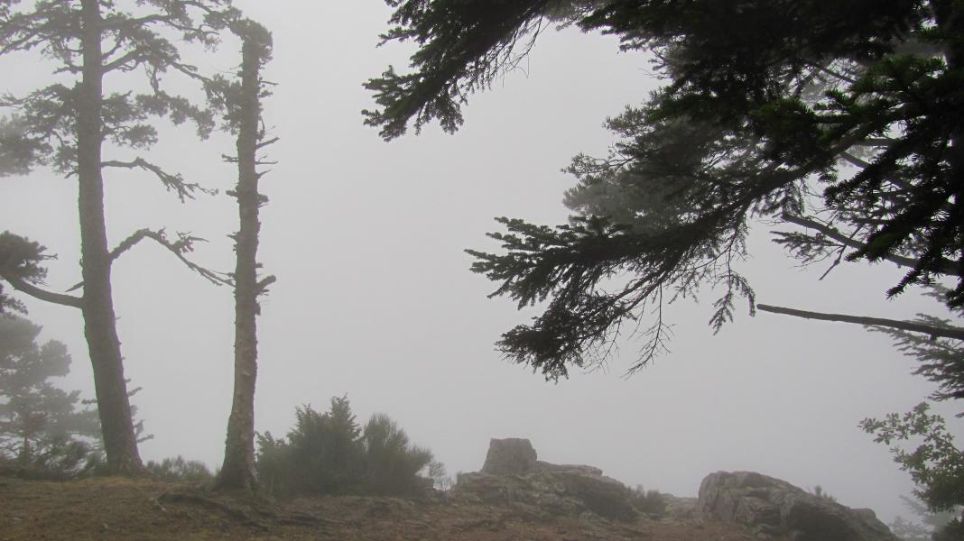 Point de vue ....