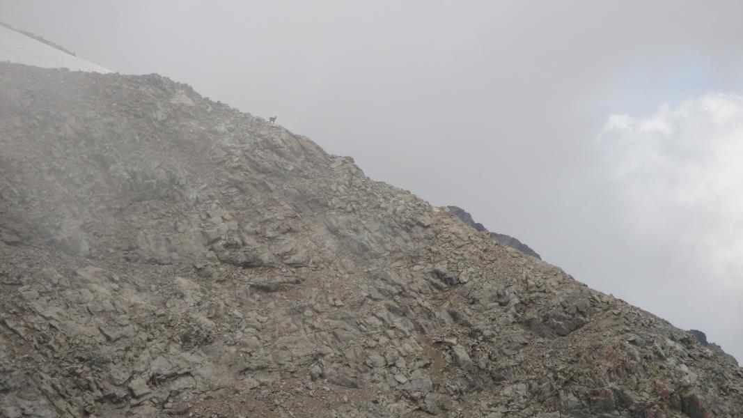Pointe des Moutières