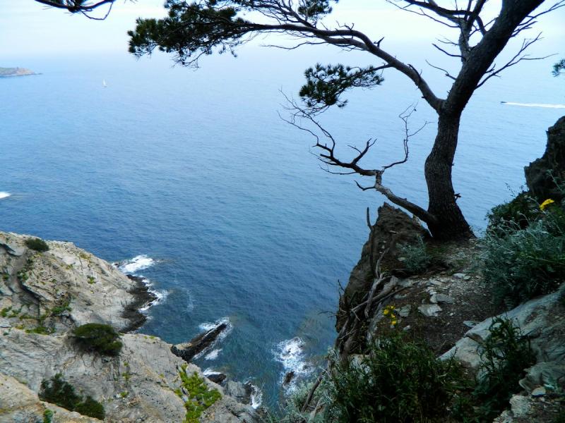 Port Cros