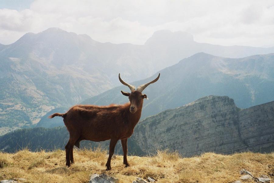 Pose sur fond de Séolanes