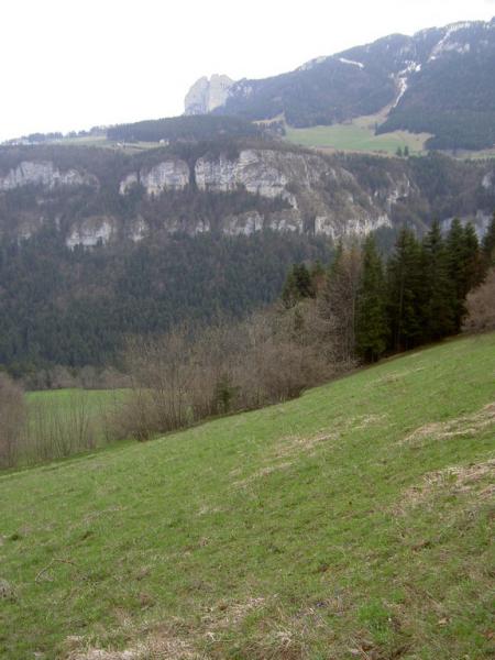 Prairie de descente