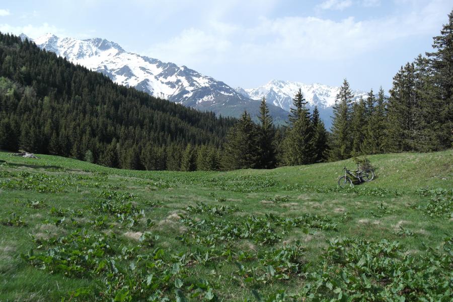 Prairie du Praillet - Gleysin et Belle Etoile