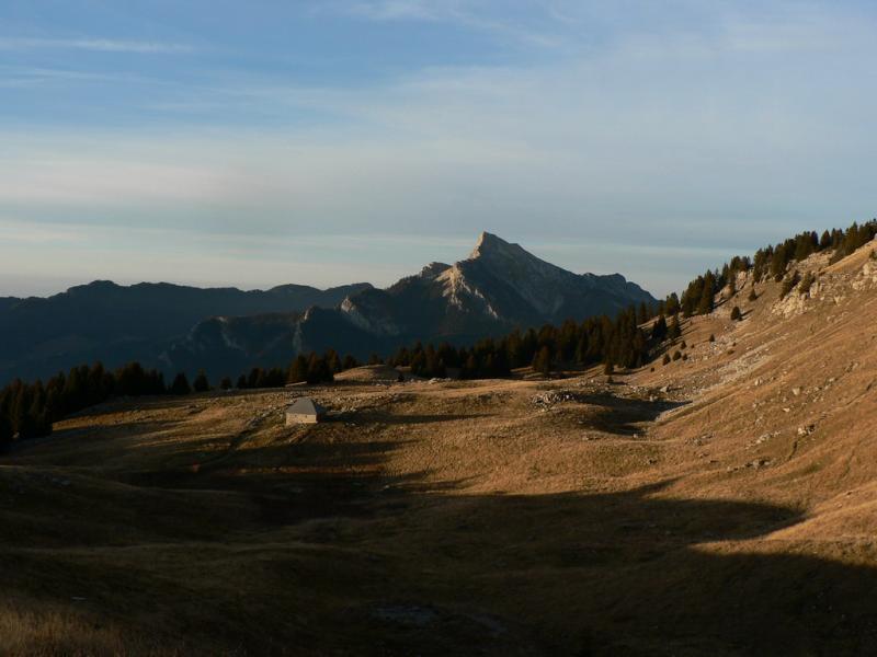 Pravouta