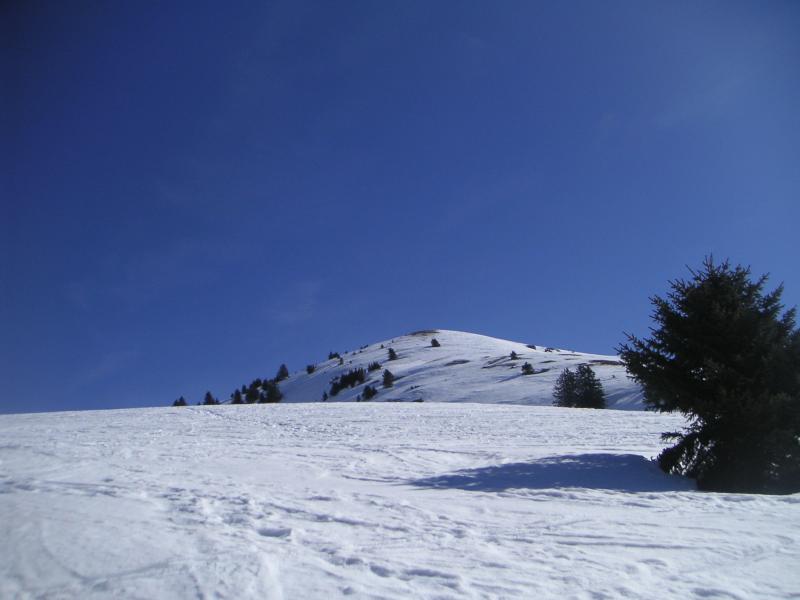 Pravouta