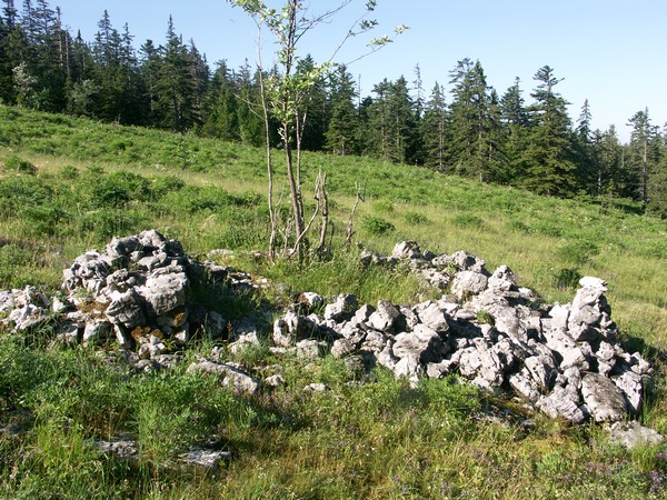 Pré du Rey Blanc