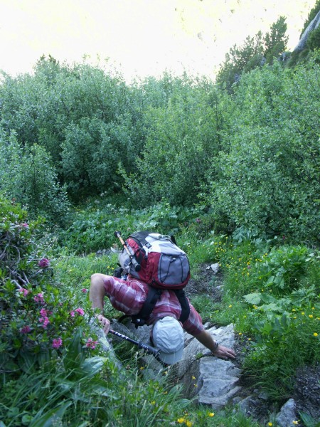 Premier ressaut